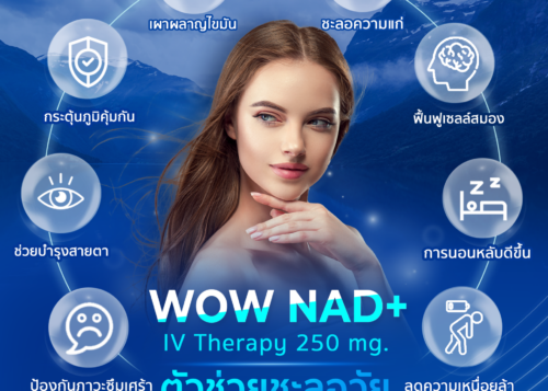 WOW NAD+