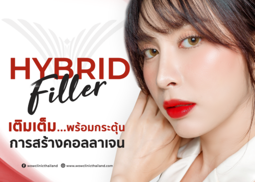 Hybrid Filler