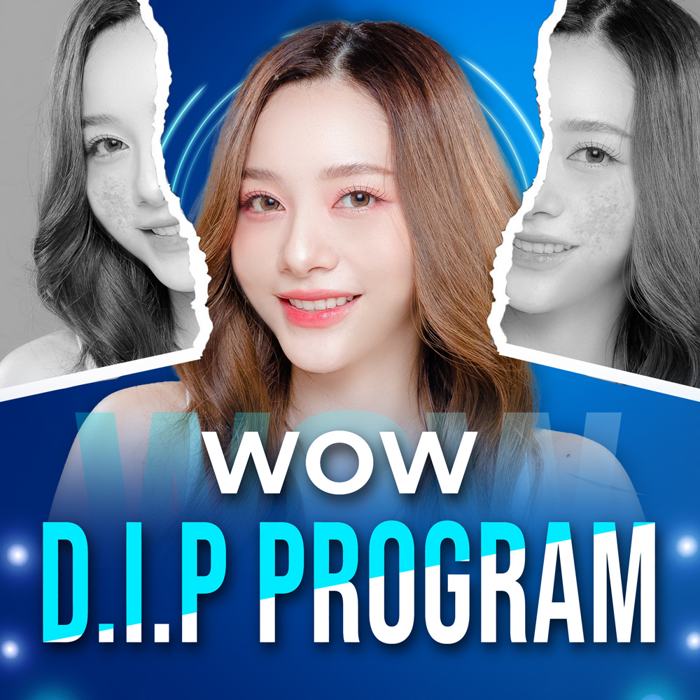 WOW D.I.P Program