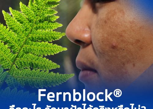 Fernblock®  คืออะไร รักษาฝ้าได้จริงหรือไม่?